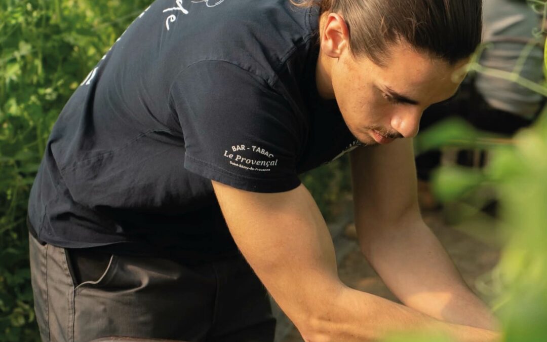 Vidéo d’entreprise dans les Alpilles : révélez votre savoir-faire en images